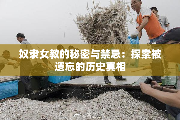 奴隶女教的秘密与禁忌：探索被遗忘的历史真相