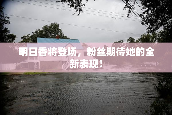 明日香将登场，粉丝期待她的全新表现！