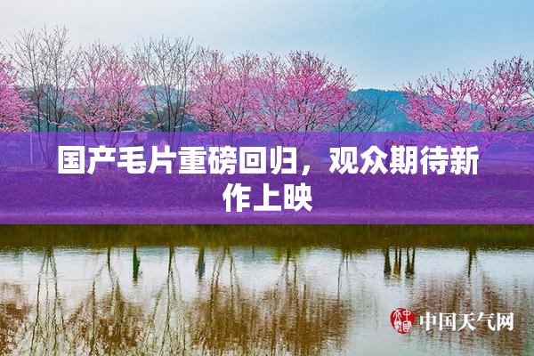 国产毛片重磅回归，观众期待新作上映
