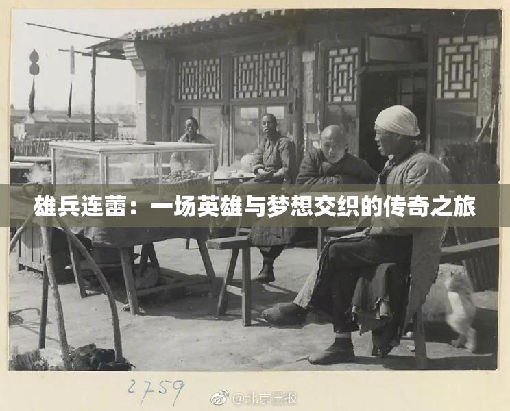 雄兵连蕾：一场英雄与梦想交织的传奇之旅