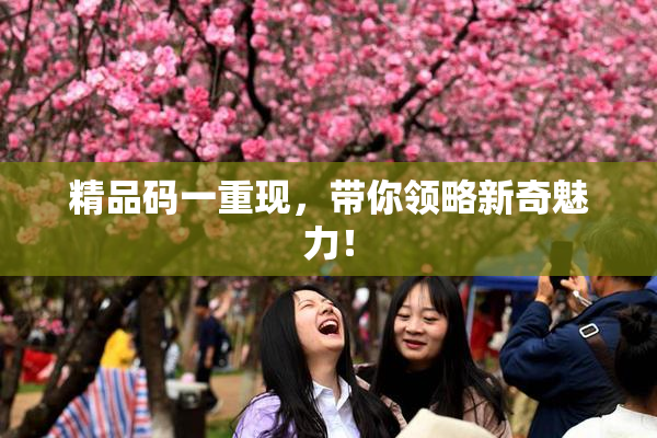 精品码一重现，带你领略新奇魅力！