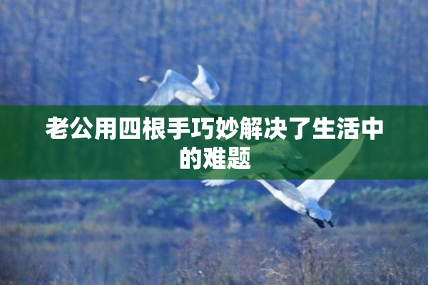 老公用四根手巧妙解决了生活中的难题