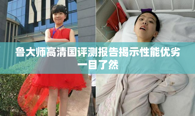 鲁大师高清国评测报告揭示性能优劣一目了然