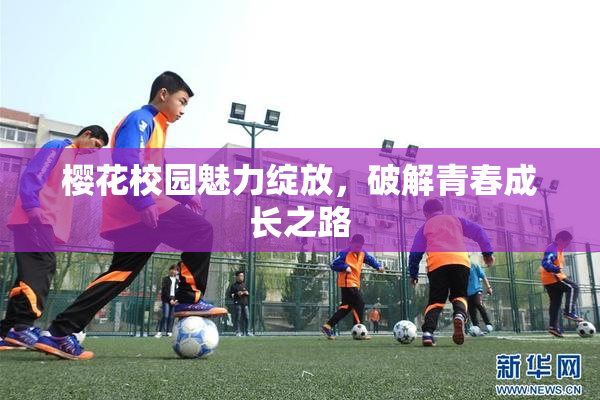 樱花校园魅力绽放，破解青春成长之路