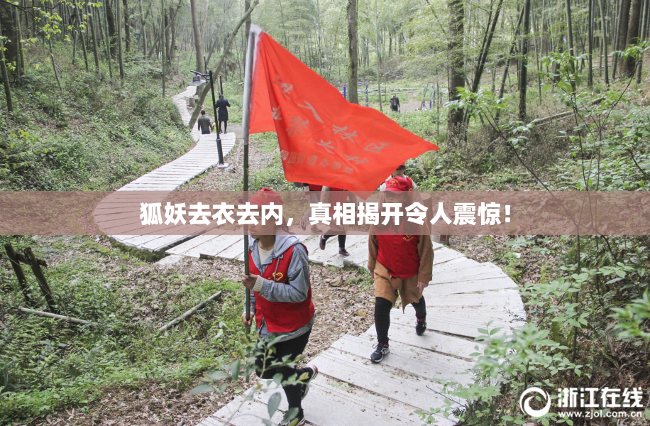 狐妖去衣去内，真相揭开令人震惊！