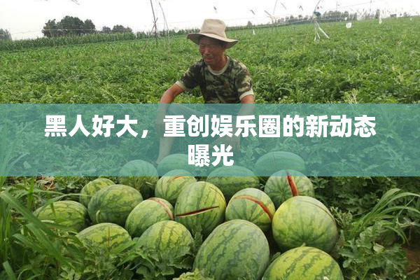 黑人好大，重创娱乐圈的新动态曝光