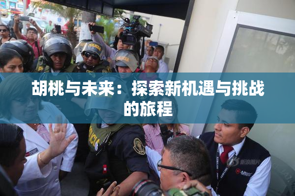 胡桃与未来：探索新机遇与挑战的旅程