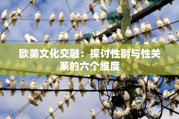 欧美文化交融：探讨性别与性关系的六个维度