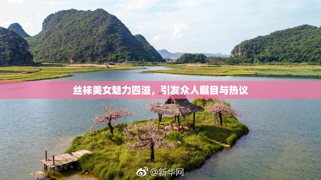 丝袜美女魅力四溢，引发众人瞩目与热议