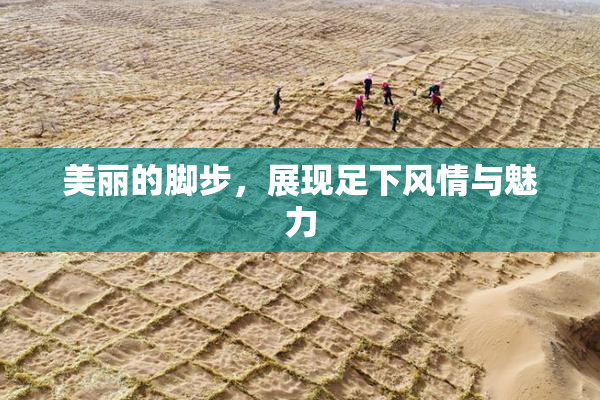 美丽的脚步，展现足下风情与魅力