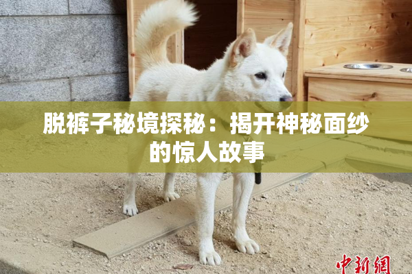 脱裤子秘境探秘：揭开神秘面纱的惊人故事