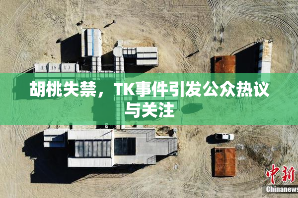 胡桃失禁，TK事件引发公众热议与关注