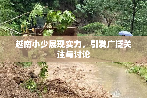 越南小少展现实力，引发广泛关注与讨论