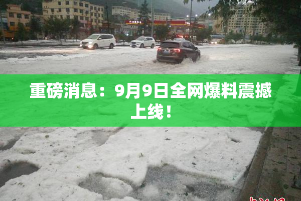 重磅消息：9月9日全网爆料震撼上线！
