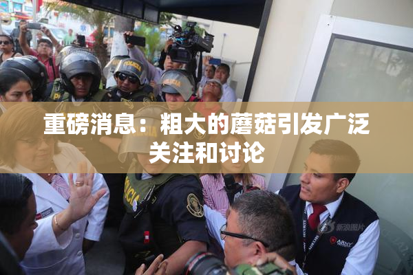 重磅消息：粗大的蘑菇引发广泛关注和讨论