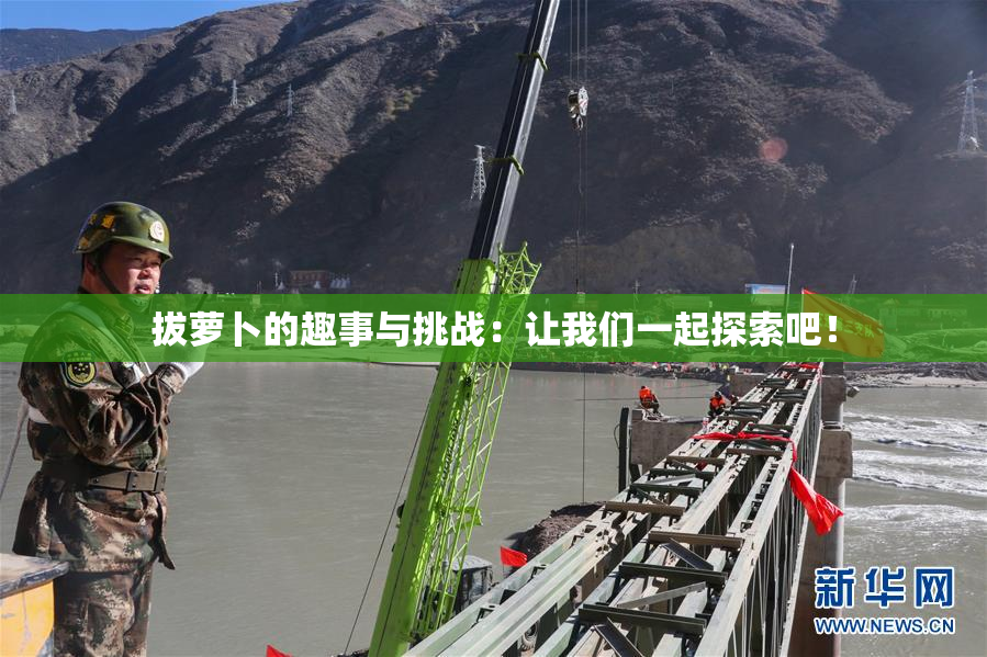 拔萝卜的趣事与挑战：让我们一起探索吧！