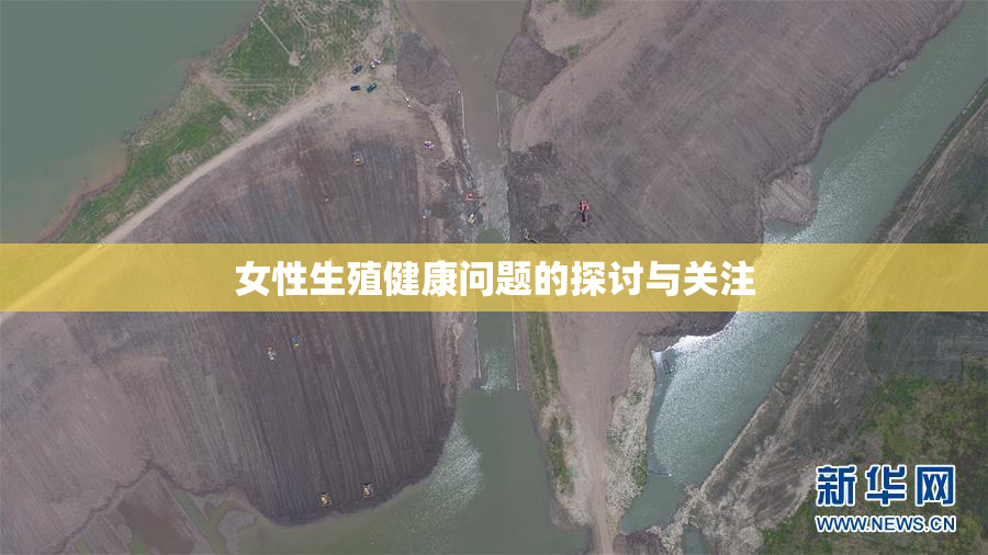 女性生殖健康问题的探讨与关注