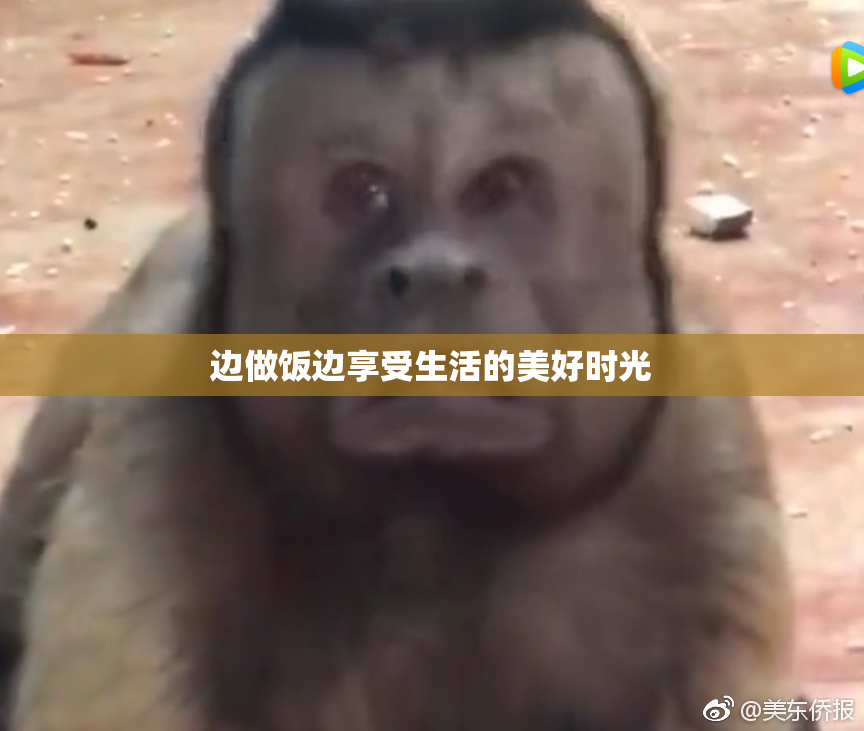 边做饭边享受生活的美好时光