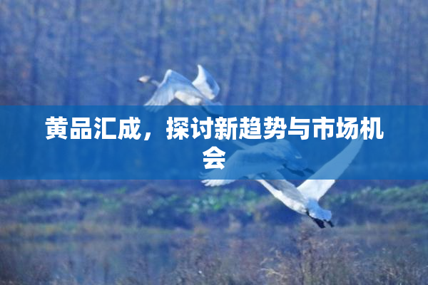 黄品汇成，探讨新趋势与市场机会