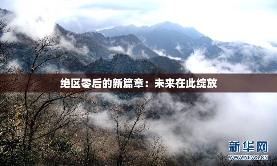 绝区零后的新篇章：未来在此绽放