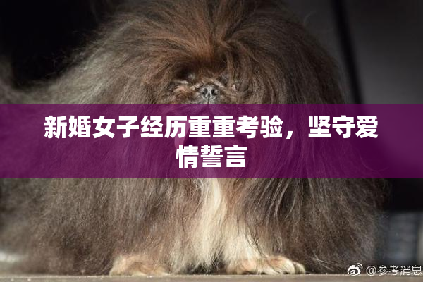 新婚女子经历重重考验，坚守爱情誓言