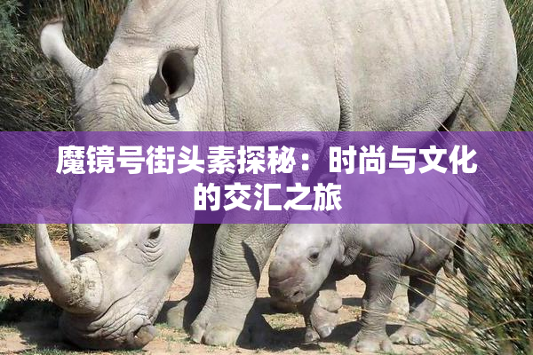 魔镜号街头素探秘：时尚与文化的交汇之旅