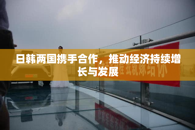 日韩两国携手合作，推动经济持续增长与发展