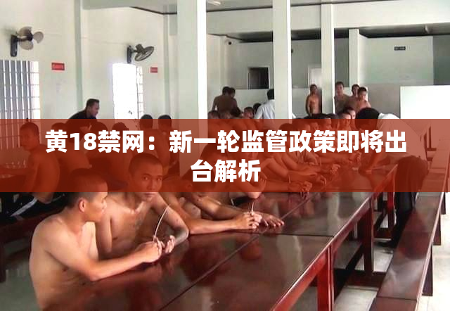 黄18禁网：新一轮监管政策即将出台解析