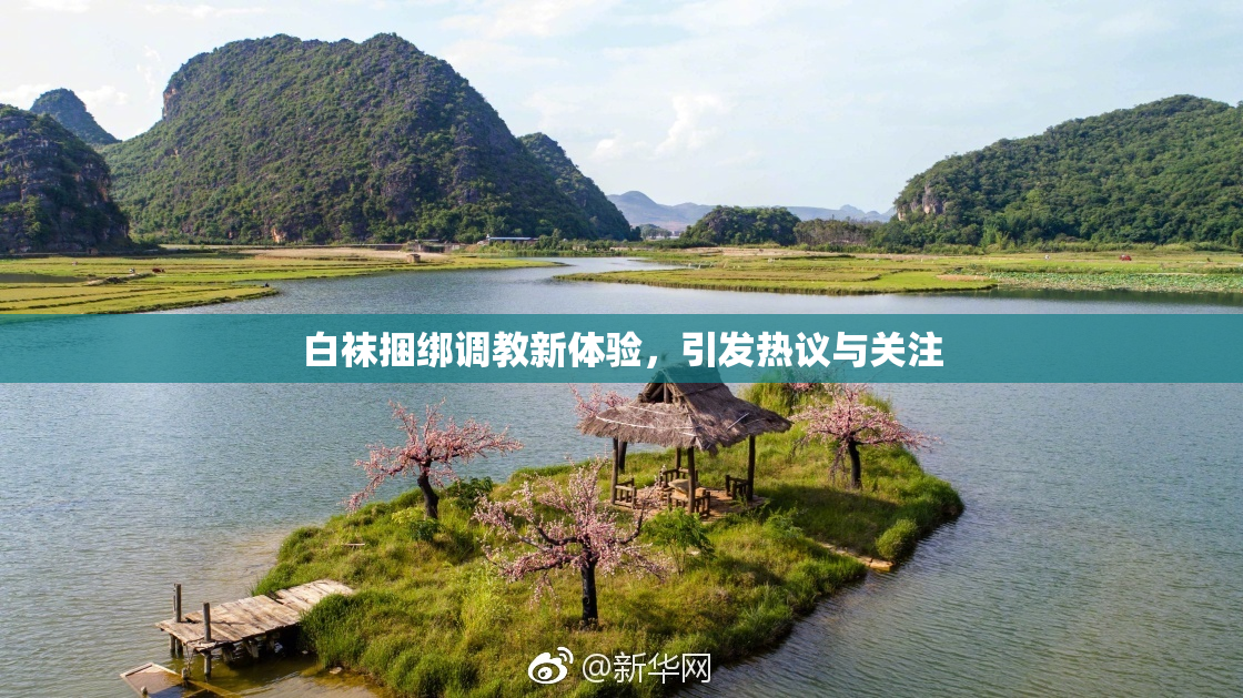 白袜捆绑调教新体验，引发热议与关注