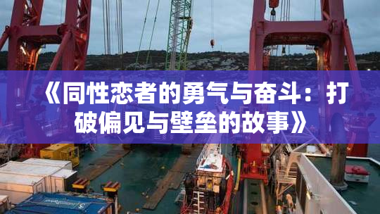 《同性恋者的勇气与奋斗：打破偏见与壁垒的故事》