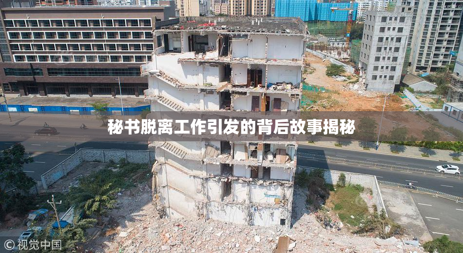 秘书脱离工作引发的背后故事揭秘