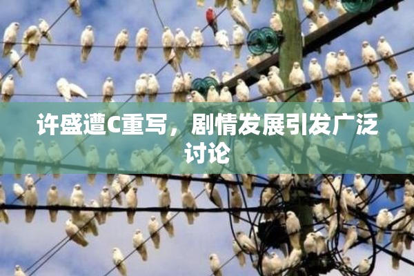 许盛遭C重写，剧情发展引发广泛讨论