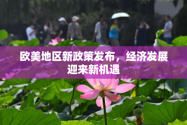 欧美地区新政策发布，经济发展迎来新机遇