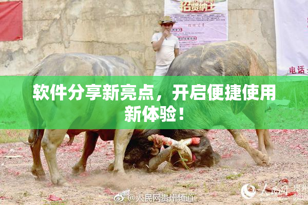 软件分享新亮点，开启便捷使用新体验！