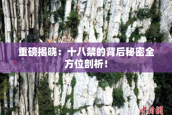 重磅揭晓：十八禁的背后秘密全方位剖析！