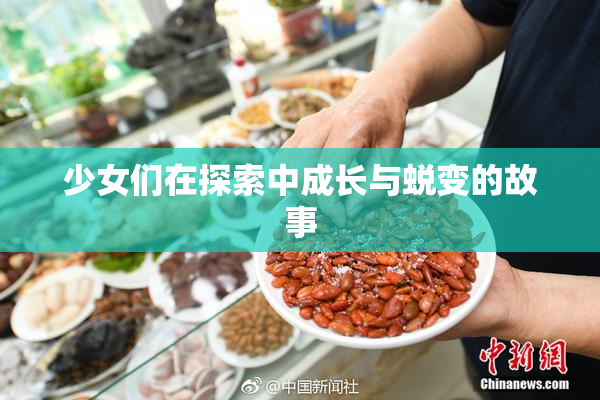 少女们在探索中成长与蜕变的故事