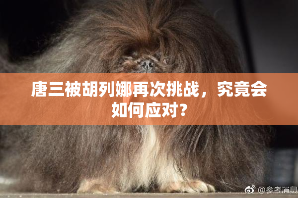 唐三被胡列娜再次挑战，究竟会如何应对？