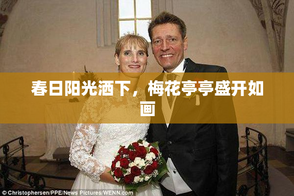 春日阳光洒下，梅花亭亭盛开如画