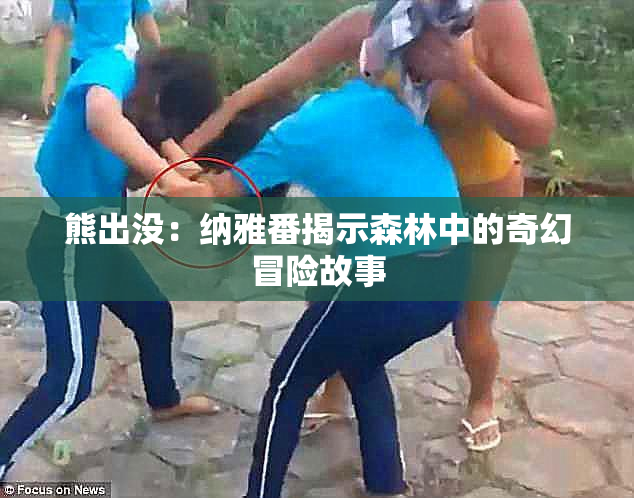 熊出没：纳雅番揭示森林中的奇幻冒险故事