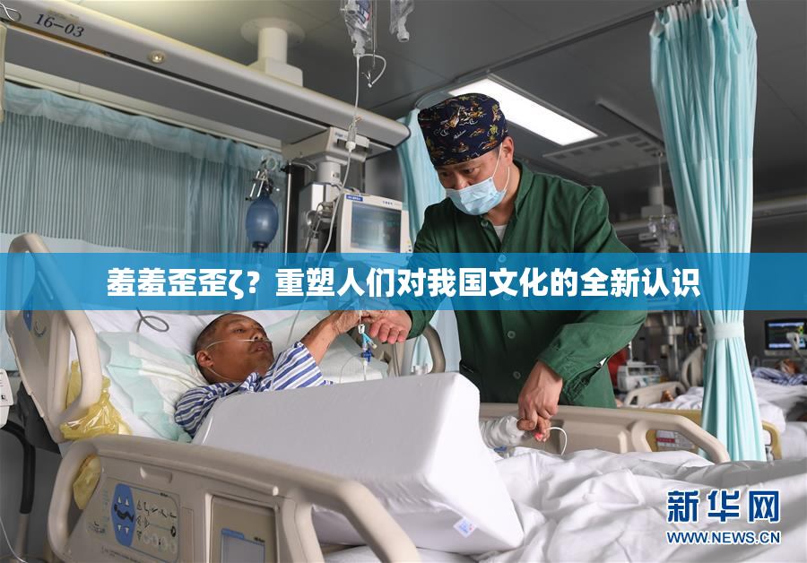 羞羞歪歪ζ？重塑人们对我国文化的全新认识