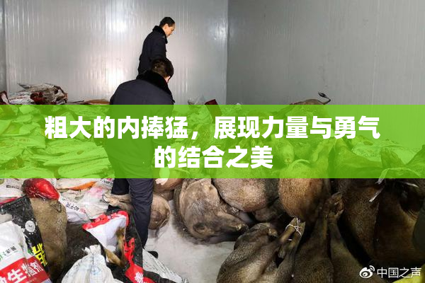 粗大的内捧猛，展现力量与勇气的结合之美