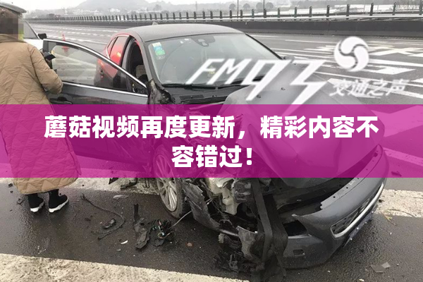 蘑菇视频再度更新，精彩内容不容错过！