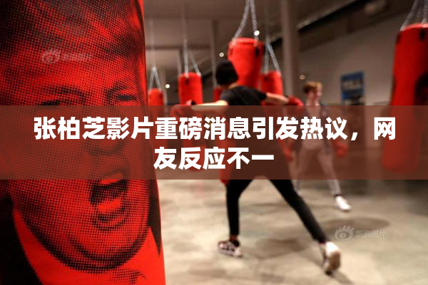 张柏芝影片重磅消息引发热议，网友反应不一