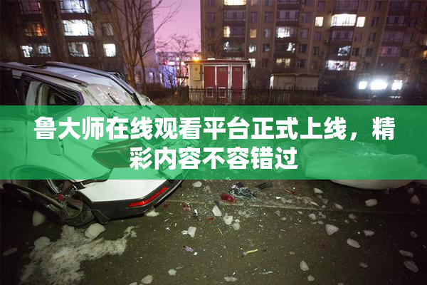鲁大师在线观看平台正式上线，精彩内容不容错过