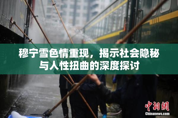 穆宁雪色情重现，揭示社会隐秘与人性扭曲的深度探讨