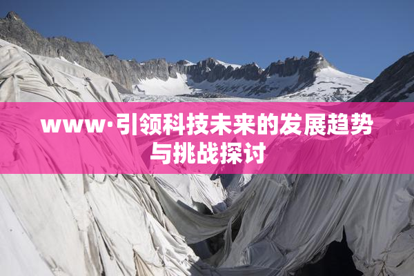 www·引领科技未来的发展趋势与挑战探讨