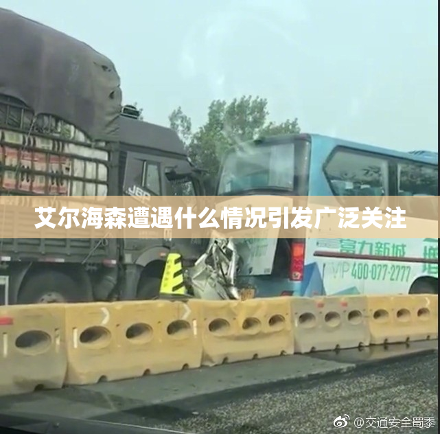 艾尔海森遭遇什么情况引发广泛关注