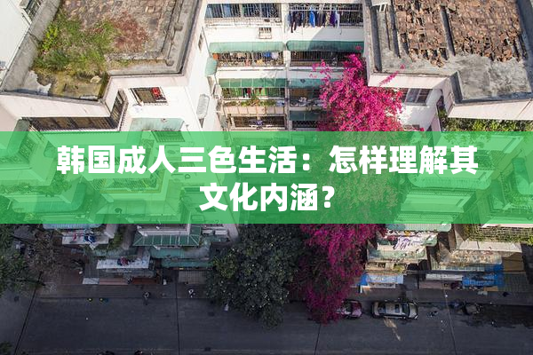 韩国成人三色生活：怎样理解其文化内涵？
