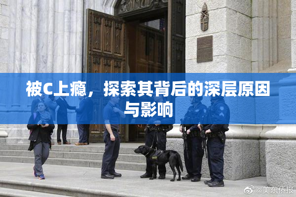 被C上瘾，探索其背后的深层原因与影响