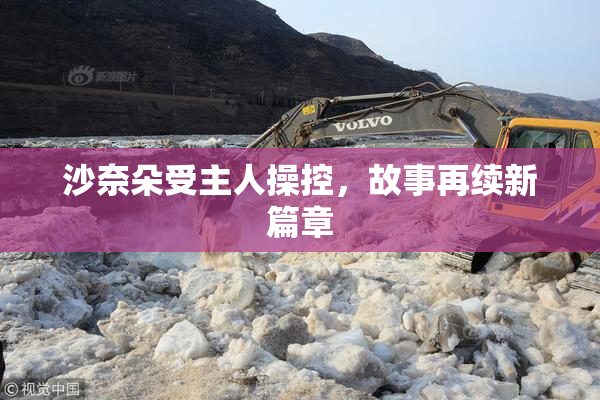 沙奈朵受主人操控，故事再续新篇章